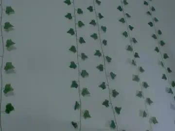 Chaturbate Live Sex of mia_garcia2