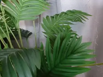 Chaturbate Best live sex cam show of imcarrieberry