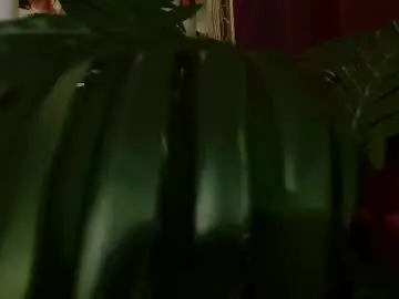 Chaturbate Adult Webcams of imcarrieberry