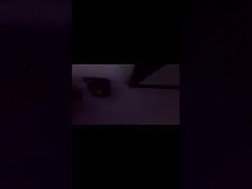 Chaturbate Watch Live Sex Cams of jsaisrien83