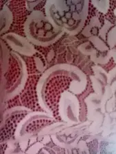 Dscgirls Adult Video Chat of Disha