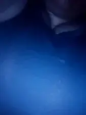 Dscgirls Free Porn Cam of Disha