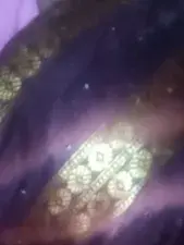 Dscgirls Live Porn of Disha