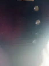 Dscgirls Adult Video Chat of Disha