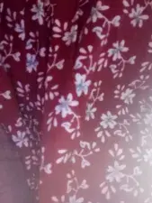 Dscgirls Free Live Porn of Disha