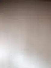 Dscgirls Best Webcam of WILDCAT