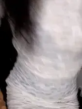Dscgirls Live Porn of Nepali-Queen