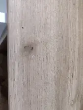 Dscgirls Live Sex Cam of Nayshaa