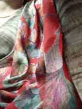 Dscgirls Sex Chat of Sexy sapna