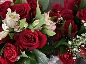 Myfreecams Adult Webcams of sayinggoodbye