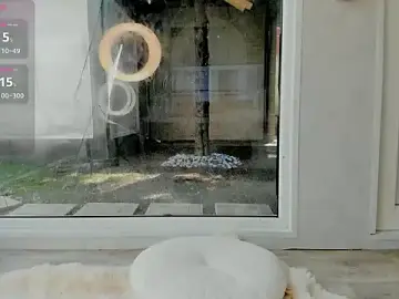 Stripchat Adult Webcams of Naila18