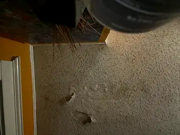 Stripchat Free Live Porn of trash4cash