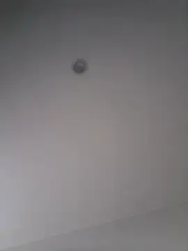Stripchat Live Porn of GabyFerrerr