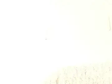 Stripchat Adult Video Chat of aidaadams