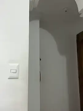 Stripchat Private Sex Chat of star_anastasia