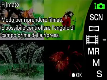 Stripchat Sex Chat of GodlyTheia