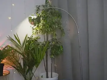 Stripchat Nude Webcam of Dearly_kitty