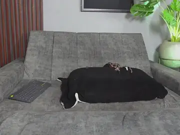 Stripchat Nude Webcam of Catalina-sexy