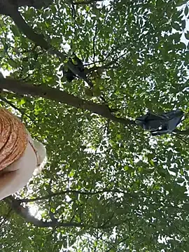 Stripchat Best live sex cam show of AmmyHot