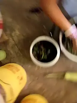 Stripchat Nude Webcam of Lakhsmi