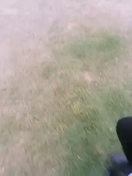 Stripchat Sex Chat of sophie_banger