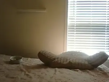 Stripchat Sex Cam of beautylovess