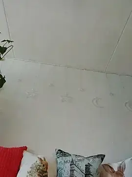 Stripchat Adult Webcam of Fire_Night