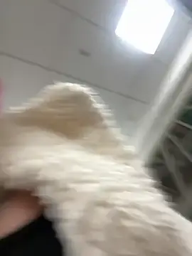 Stripchat Live Sex of Mia-Fuchs