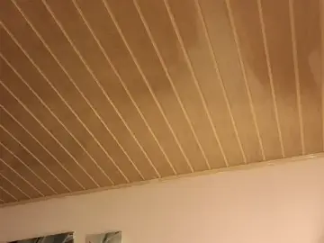 Stripchat Adult Video Chat of Coquette_Johnson