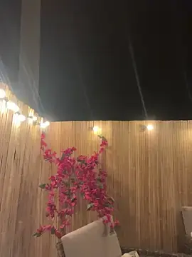 Stripchat Best Webcam of Chachou000