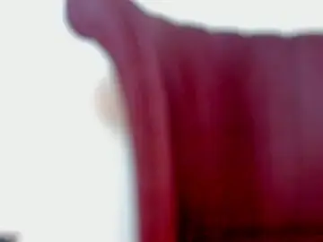 Stripchat Private Sex Chat of Kaidapunk