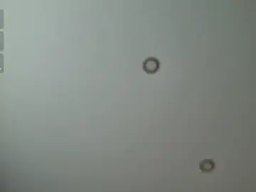 Stripchat Best Webcam of Hey_Kris
