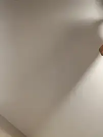 Stripchat Adult Video Chat of RinsingWood84