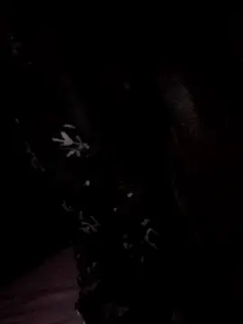 Stripchat Sex Cam of Hottiesophie