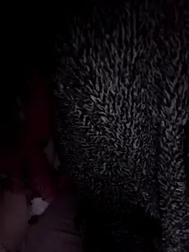 Stripchat Watch Live Sex Cams of Hottiesophie