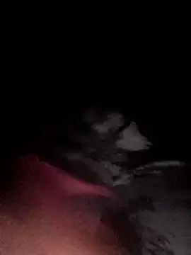 Stripchat Best live sex cam show of Hottiesophie