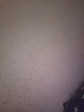 Stripchat Best live sex cam show of Hottiesophie