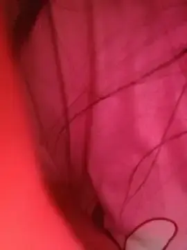 Stripchat Live Sex of Hottiesophie