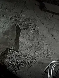 Stripchat Adult Video Chat of mendelicius