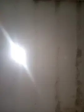 Stripchat Best live sex cam show of dana2939
